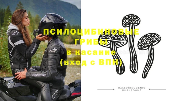 шишки Лиски