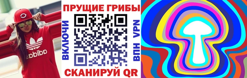 Купить где  Серпухов  Галлюциногенные грибы GOLDEN TEACHER 